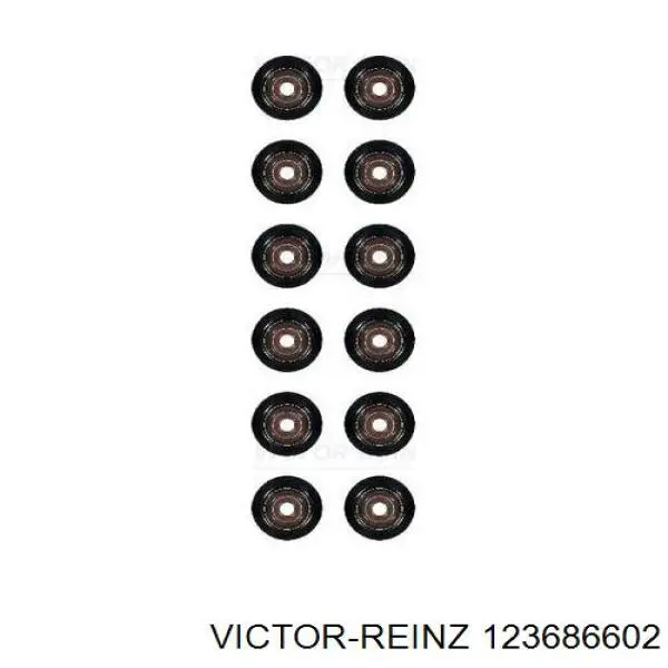 Juego de retenes de válvula de admisión y escape Victor Reinz 123686602 precio, desde 42,14 EUR