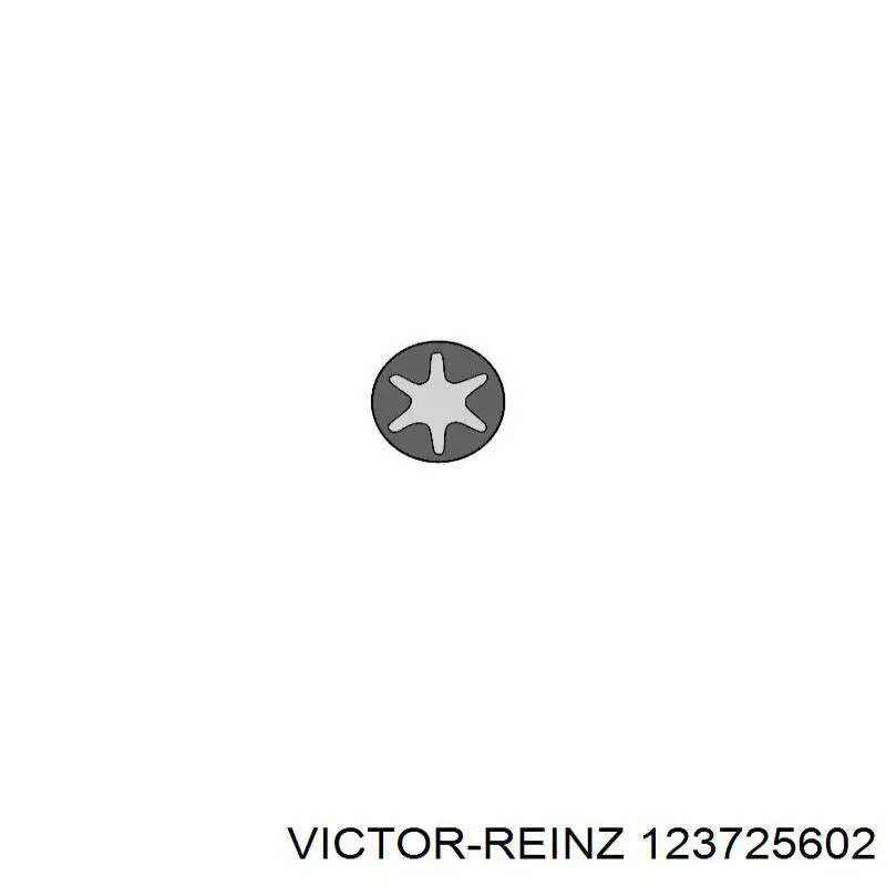 12-37256-02 Victor Reinz sello de aceite de valvula (rascador de aceite Entrada/Salida Kit De Motor)