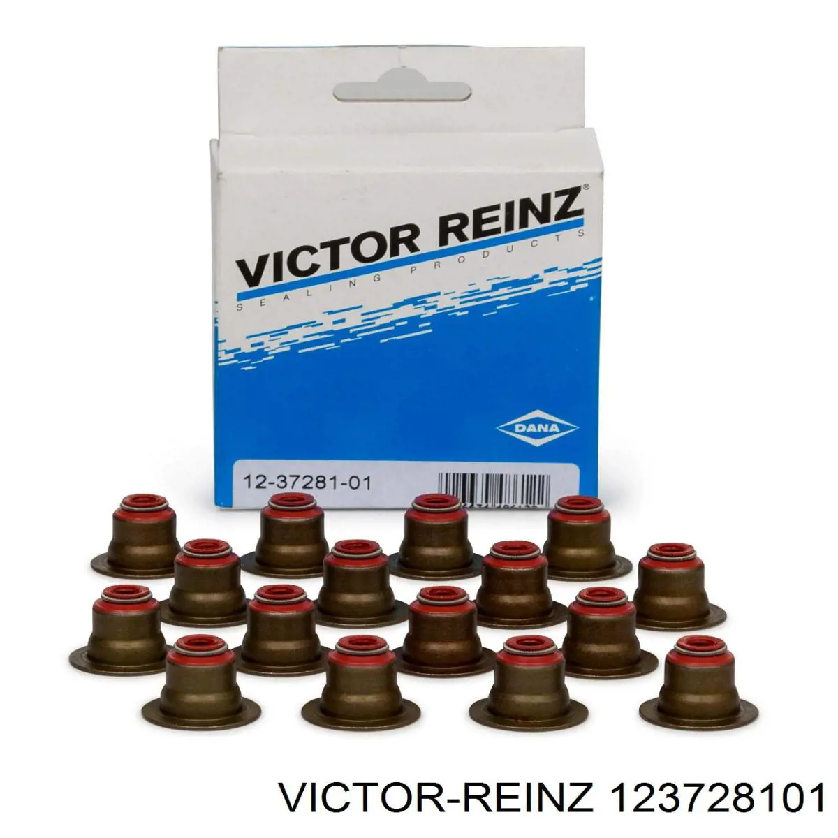 12-37281-01 Victor Reinz sello de aceite de valvula (rascador de aceite Entrada/Salida Kit De Motor)