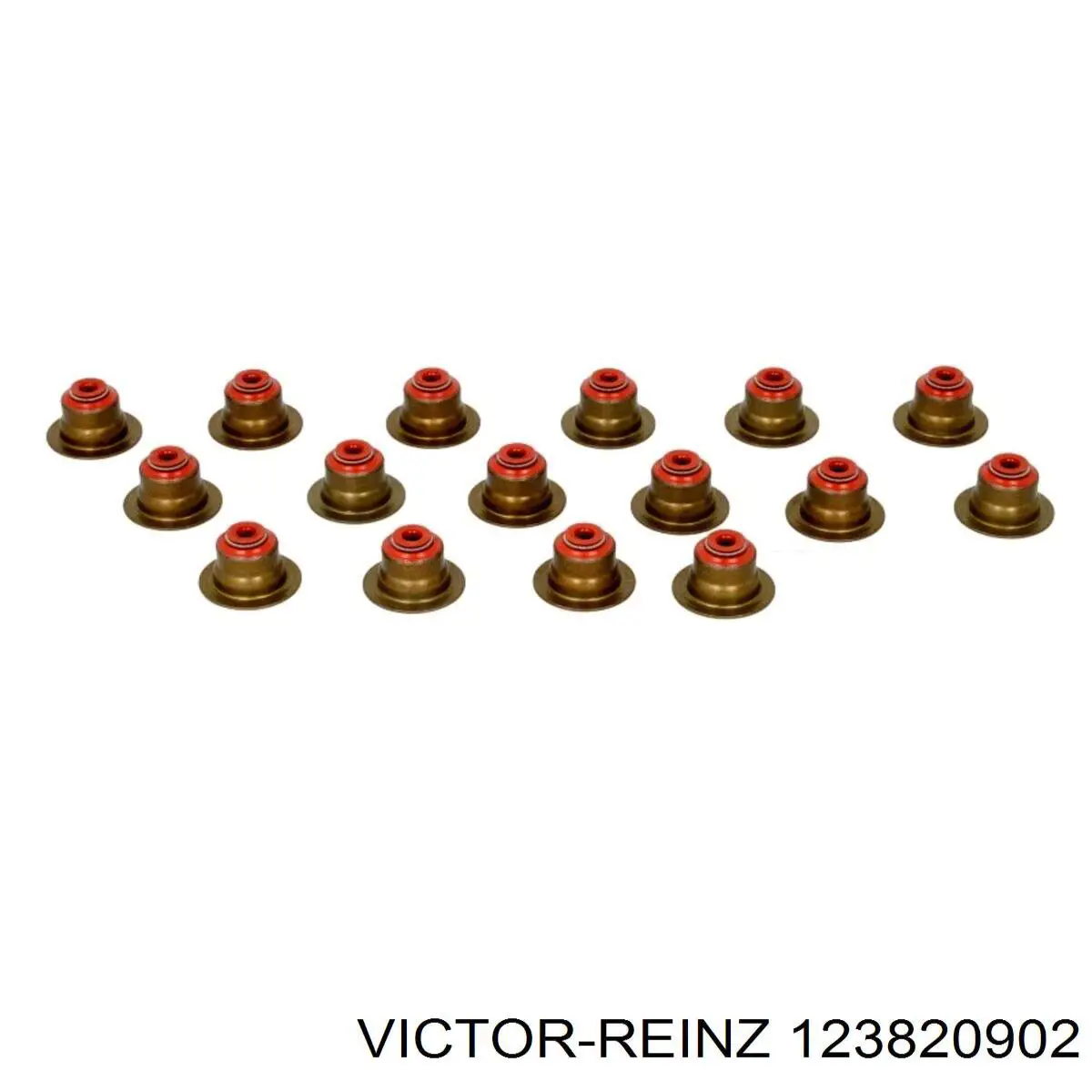 12-38209-02 Victor Reinz sello de aceite de valvula (rascador de aceite Entrada/Salida Kit De Motor)