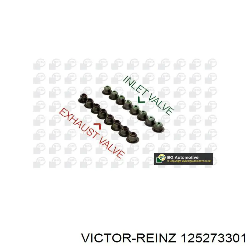 125273301 Victor Reinz sello de aceite de valvula (rascador de aceite Entrada/Salida Kit De Motor)