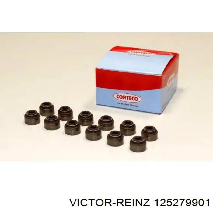 125279901 Victor Reinz sello de aceite de valvula (rascador de aceite Entrada/Salida Kit De Motor)