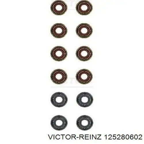 125280602 Victor Reinz sello de aceite de valvula (rascador de aceite Entrada/Salida Kit De Motor)