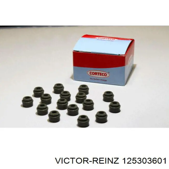 12-53036-01 Victor Reinz sello de aceite de valvula (rascador de aceite Entrada/Salida Kit De Motor)