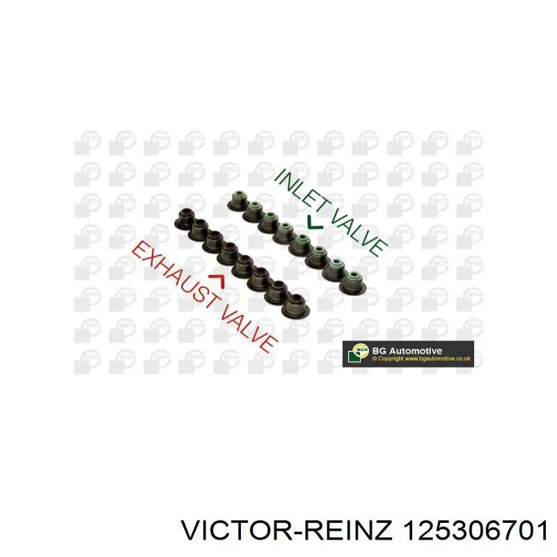 12-53067-01 Victor Reinz sello de aceite de valvula (rascador de aceite Entrada/Salida Kit De Motor)