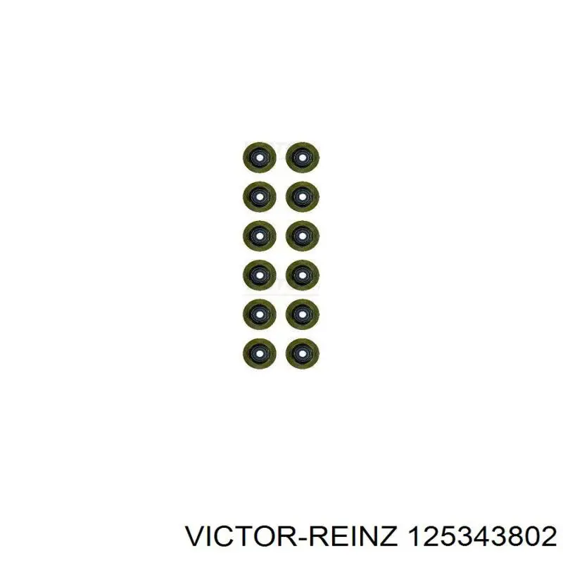 Juego de retenes de válvula de admisión y escape Victor Reinz 125343802 precio, desde 39,00 EUR