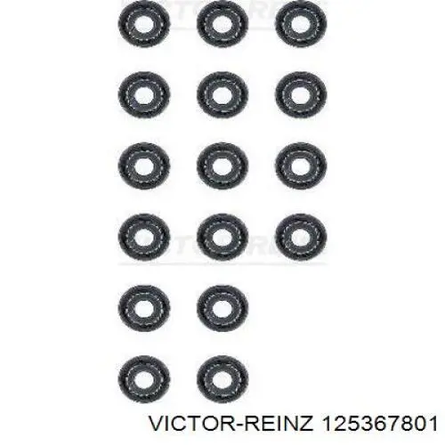 12-53678-01 Victor Reinz sello de aceite de valvula (rascador de aceite Entrada/Salida Kit De Motor)