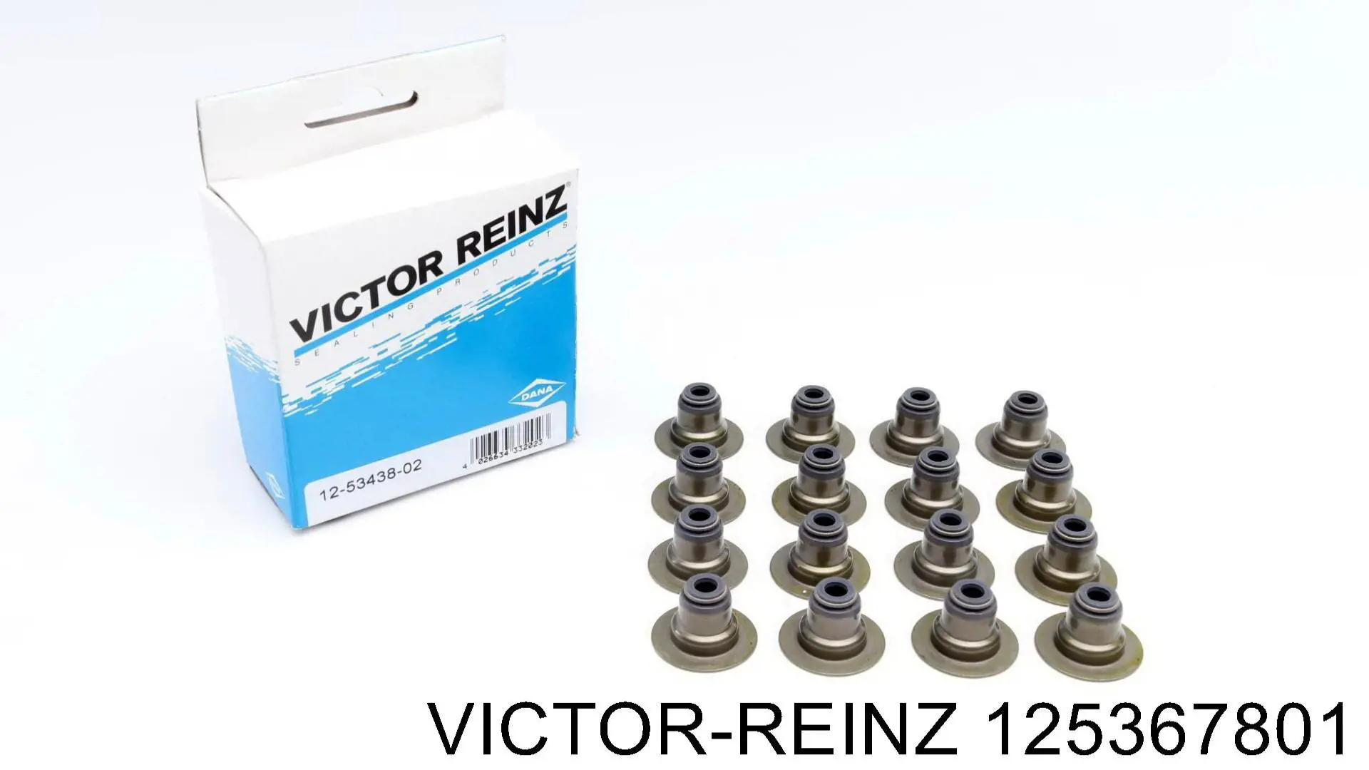 Juego de retenes de válvula de admisión y escape Victor Reinz 125367801 precio, desde 15,20 EUR