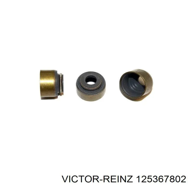125367802 Victor Reinz sello de aceite de valvula (rascador de aceite Entrada/Salida Kit De Motor)