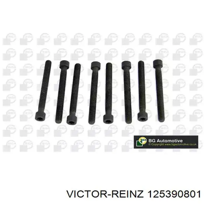 12-53908-01 Victor Reinz sello de aceite de valvula (rascador de aceite Entrada/Salida Kit De Motor)