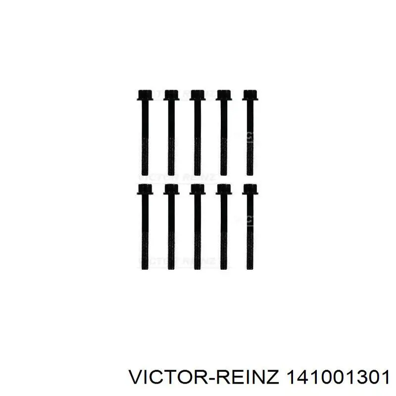 141001301 Victor Reinz