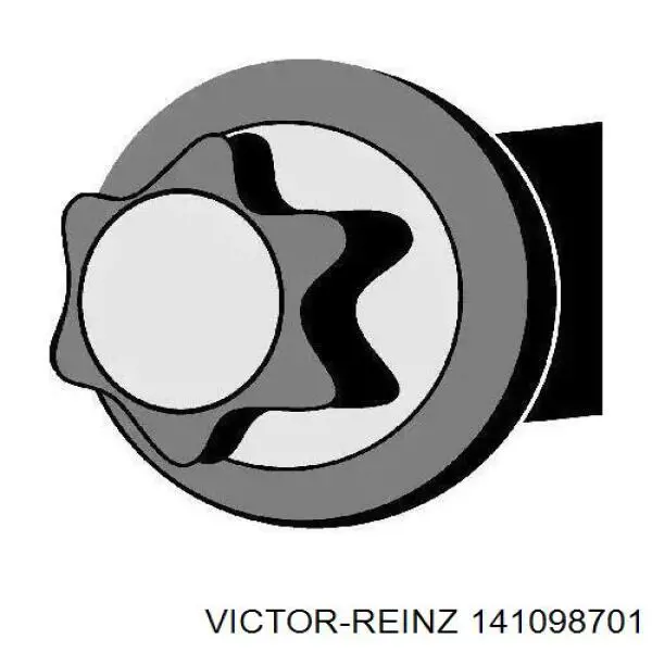 Juego tornillos culata Victor Reinz 141098701 precio, desde 51,46 EUR