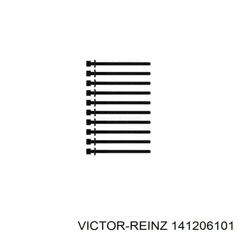 141206101 Victor Reinz Pernos de culata