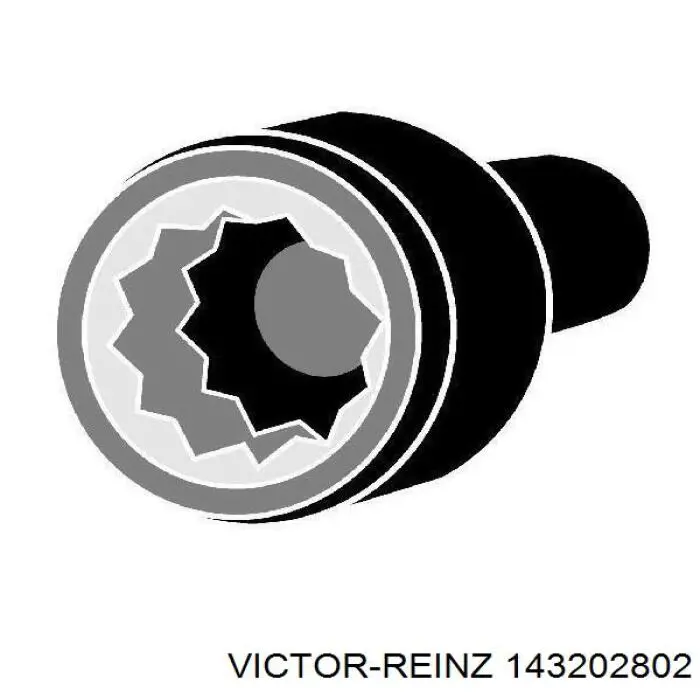 14-32028-02 Victor Reinz tornillo culata