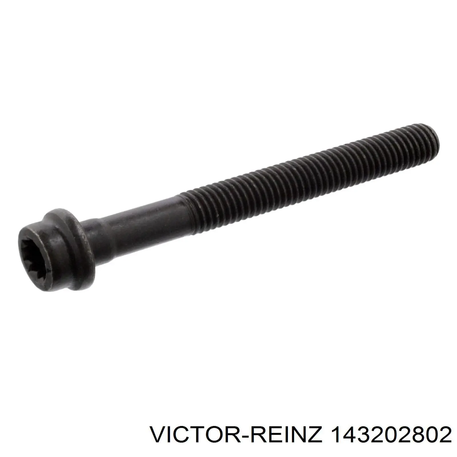 Juego tornillos culata Victor Reinz 143202802 precio, desde 20,78 EUR