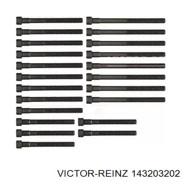 Juego tornillos culata Victor Reinz 143203202 precio, desde 63,36 EUR
