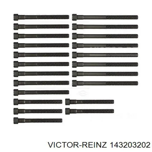 Comprar 143203202 Victor Reinz Tornillos de culata