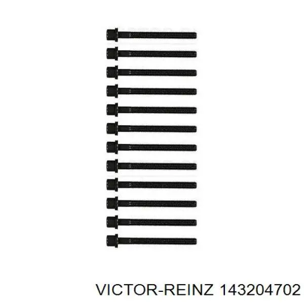 14-32047-02 Victor Reinz tornillo de culata