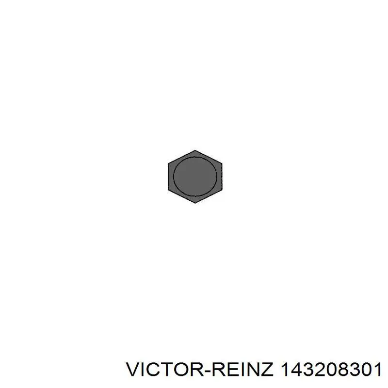 Juego tornillos culata Victor Reinz 143208301 precio, desde 37,89 EUR