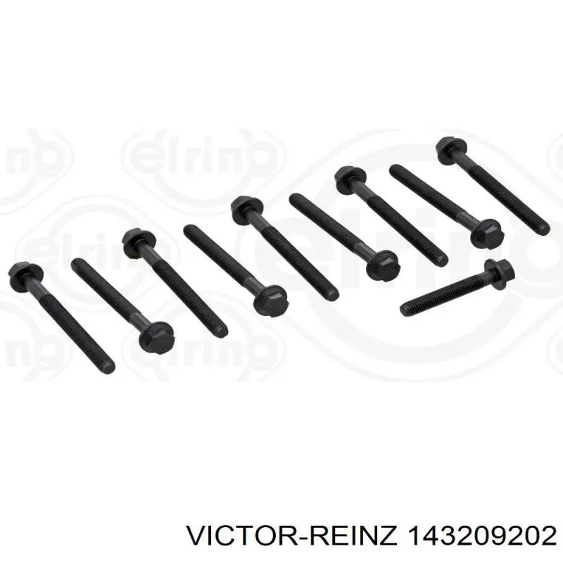 Juego tornillos culata Victor Reinz 143209202 precio, desde 11,14 EUR