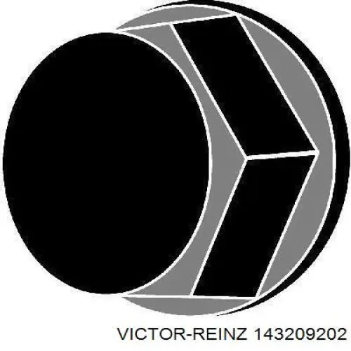 143209202 Victor Reinz tornillo de culata