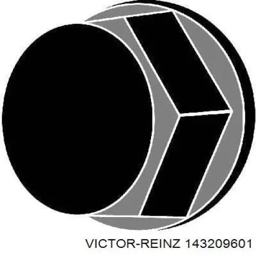 Juego tornillos culata Victor Reinz 143209601 precio, desde 45,09 EUR
