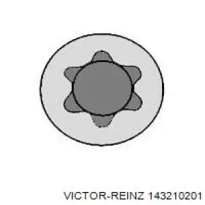 Juego tornillos culata Victor Reinz 143210201 precio, desde 15,76 EUR