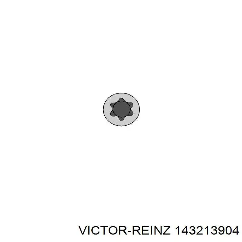 Juego tornillos culata Victor Reinz 143213904 precio, desde 22,97 EUR
