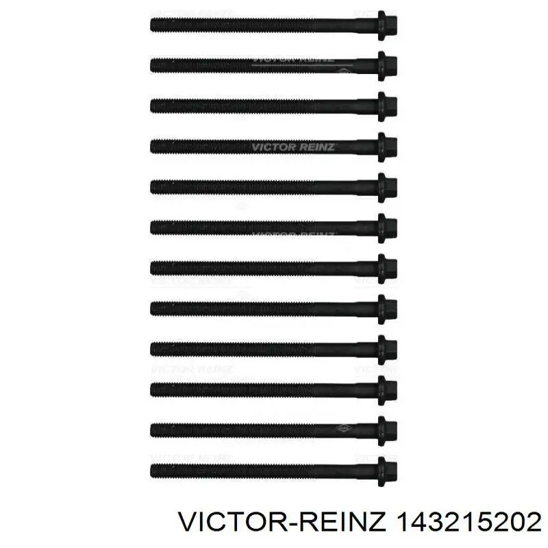 Juego tornillos culata Victor Reinz 143215202 precio, desde 32,62 EUR