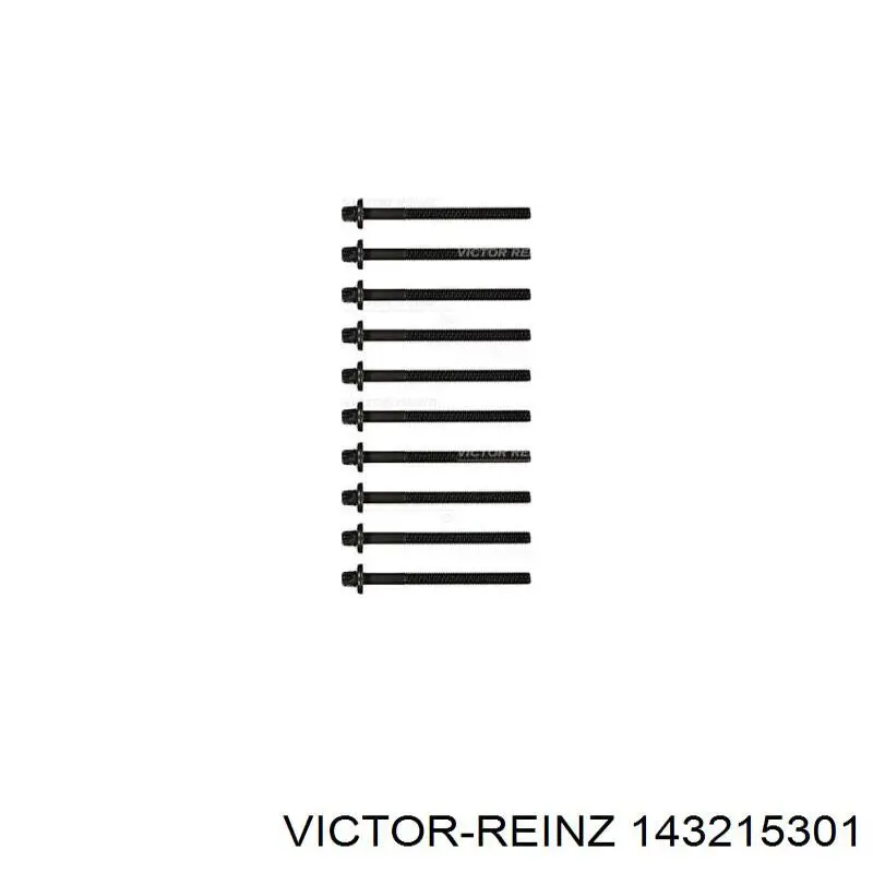 143215301 Victor Reinz tornillo culata
