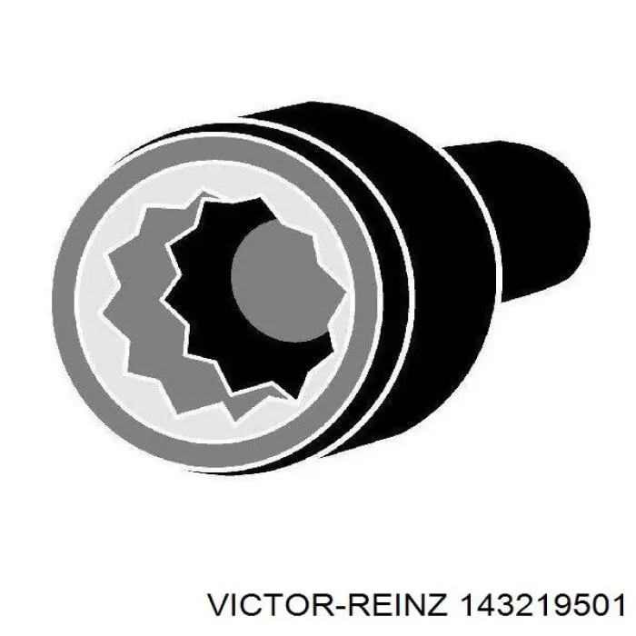 143219501 Victor Reinz tornillo de culata