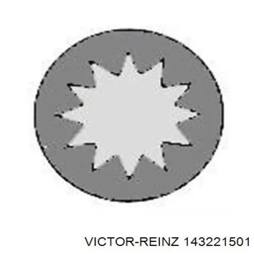14-32215-01 Victor Reinz tornillo culata