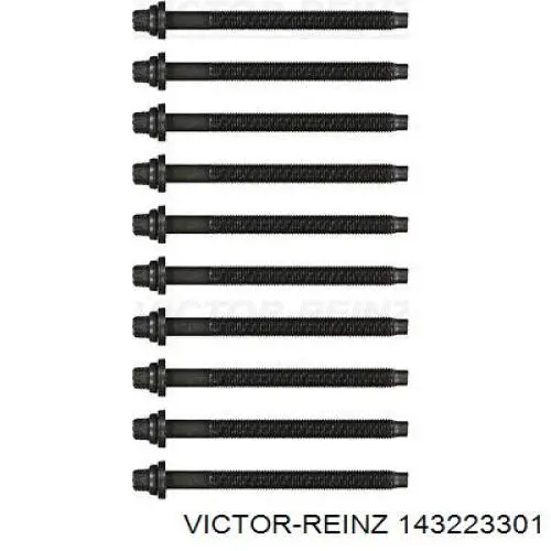 143223301 Victor Reinz tornillo de culata