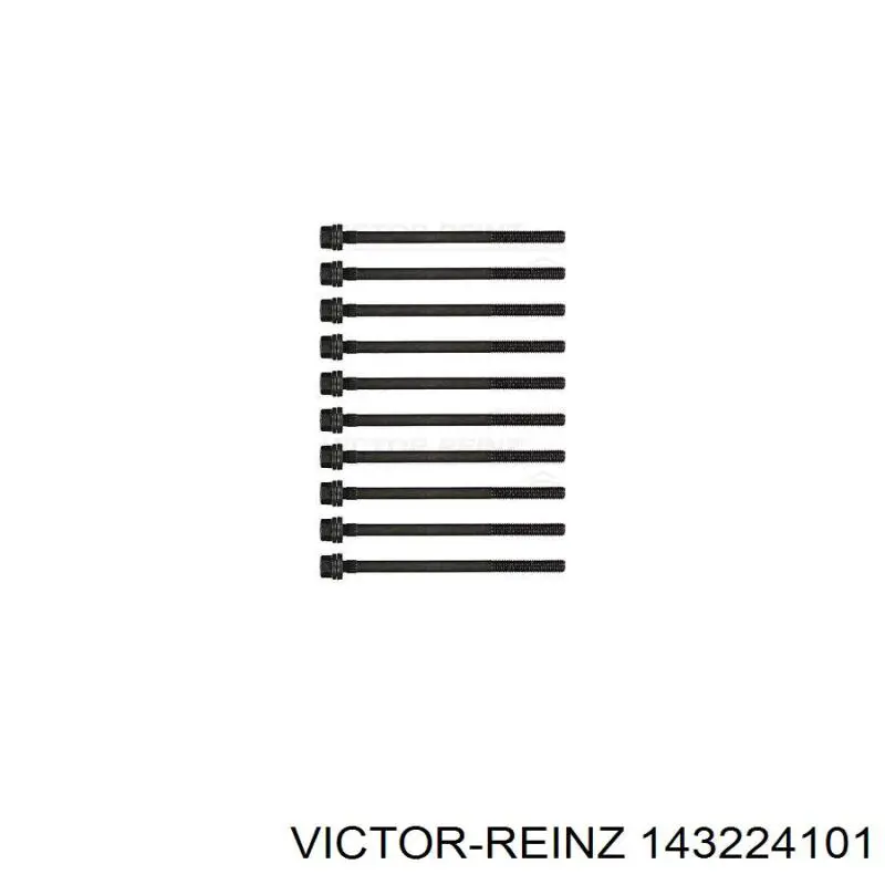 143224101 Victor Reinz tornillo de culata