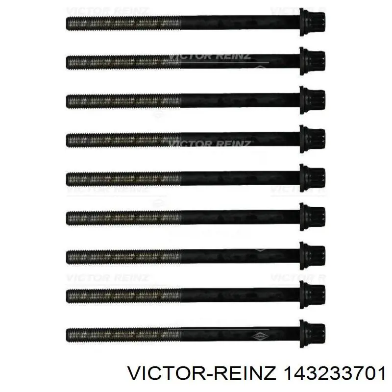 Juego tornillos culata Victor Reinz 143233701 precio, desde 39,23 EUR