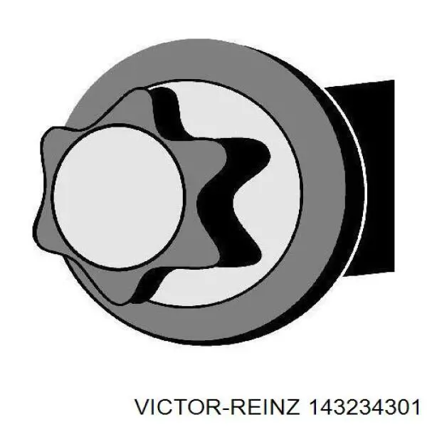 14-32343-01 Victor Reinz tornillo culata
