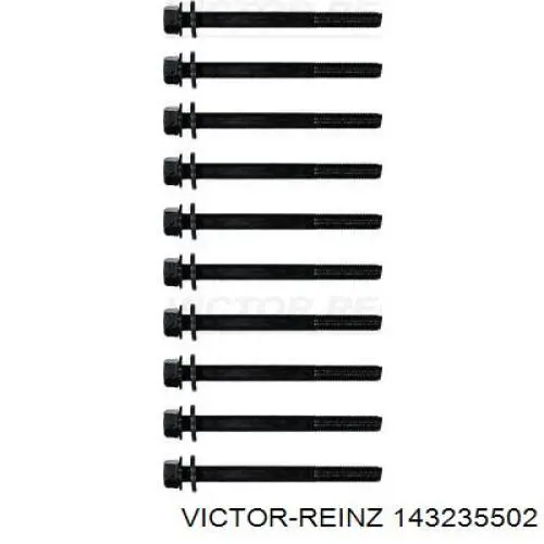 Juego tornillos culata Victor Reinz 143235502 precio, desde 26,98 EUR