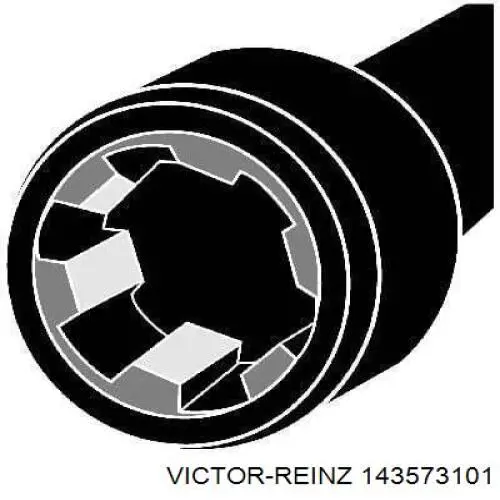 14-35731-01 Victor Reinz tornillo de culata