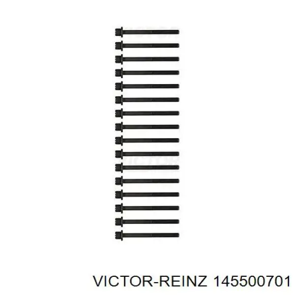 14-55007-01 Victor Reinz tornillo culata