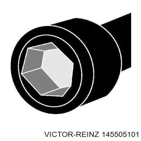Juego tornillos culata Victor Reinz 145505101 precio, desde 37,03 EUR