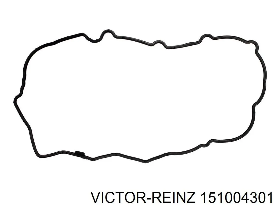 151004301 Victor Reinz