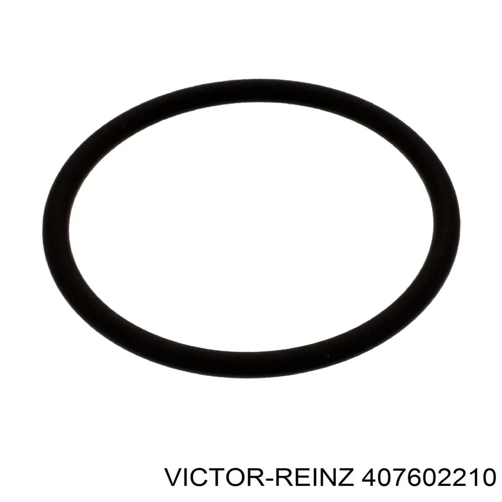 407602210 Victor Reinz junta anular, inyector