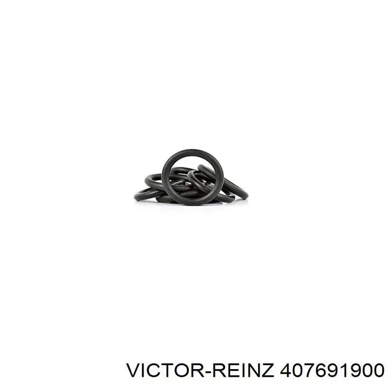 Comprar 407691900 Victor Reinz Junta de colector de admisión