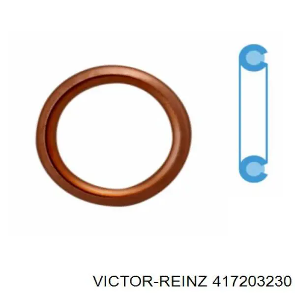 Junta, tapón roscado, colector de aceite VICTOR REINZ 417203230