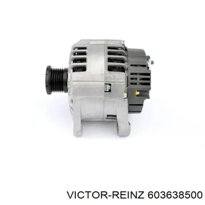 603638500 Victor Reinz