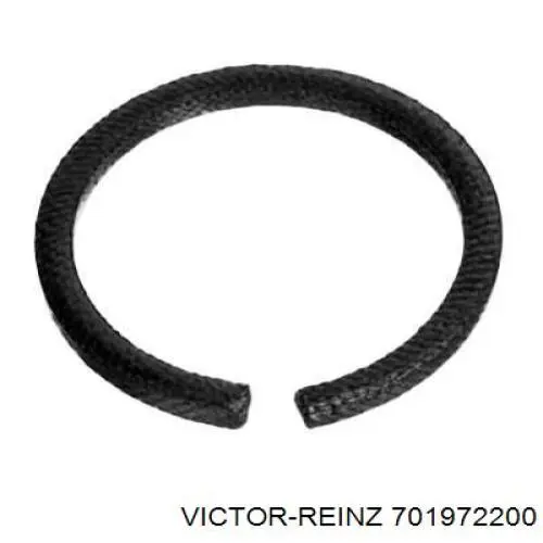 701972200 Victor Reinz