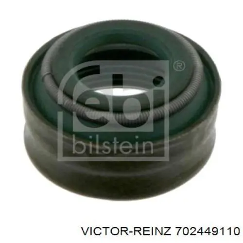 70-24491-10 Victor Reinz sello de aceite de valvula (rascador de aceite Entrada/Salida)