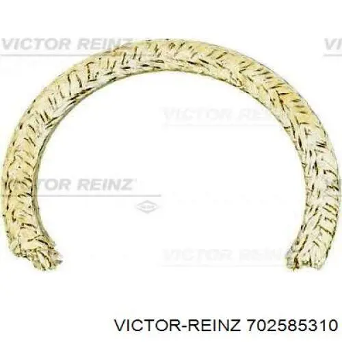 702585310 Victor Reinz anillo retén, cigüeñal