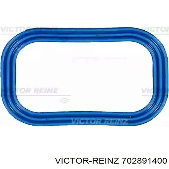 Comprar 702891400 Victor Reinz Junta cuerpo mariposa