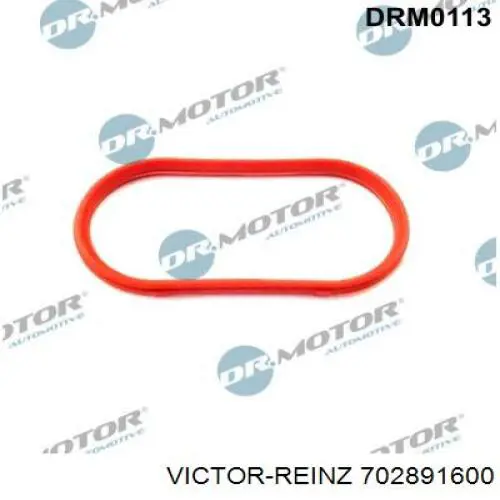 702891600 Victor Reinz